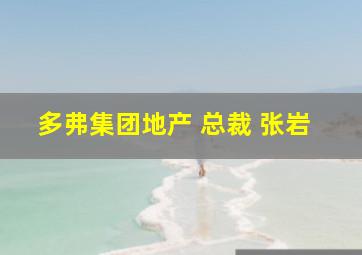 多弗集团地产 总裁 张岩